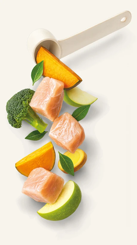 Calm + Relax ingredients in a scoop