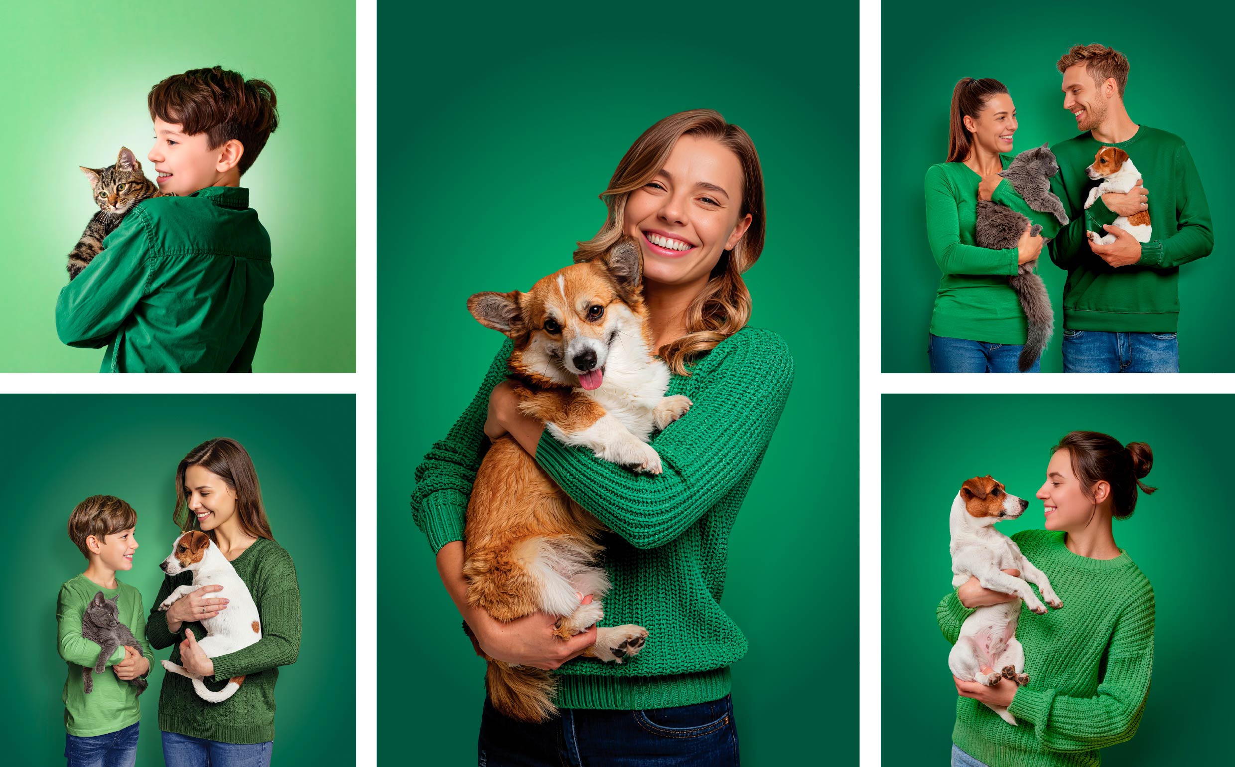 Natural Animal Solutions lifestyle imagery