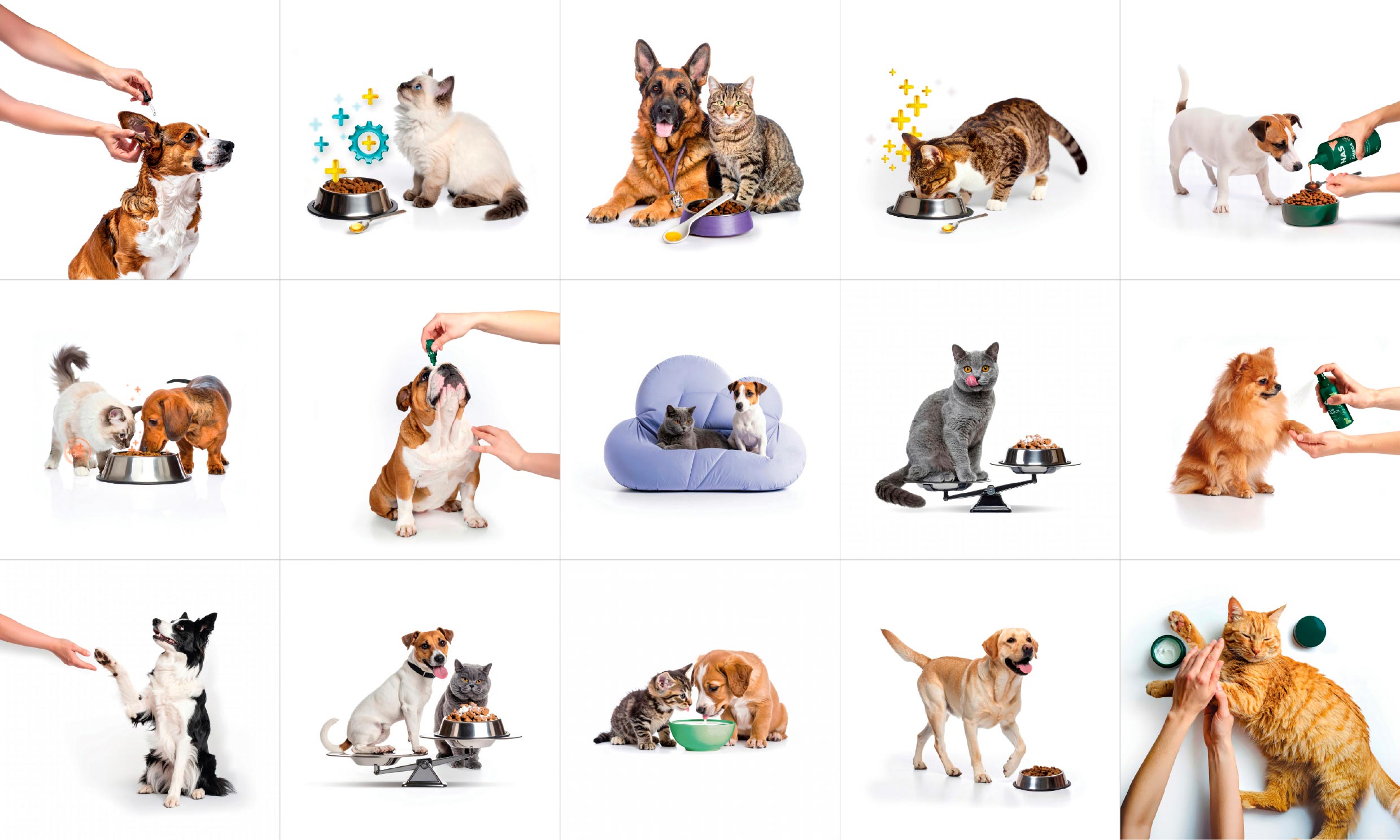 Natural Animal Solutions demonstrational imagery